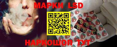 apvp Камышлов