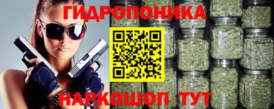 мяу мяу мука Кандалакша