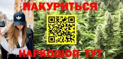 apvp Камышлов
