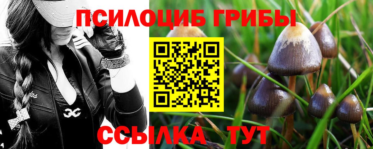 Галлюциногенные грибы Magic Shrooms  Вход с VPN  Нижнекамск 