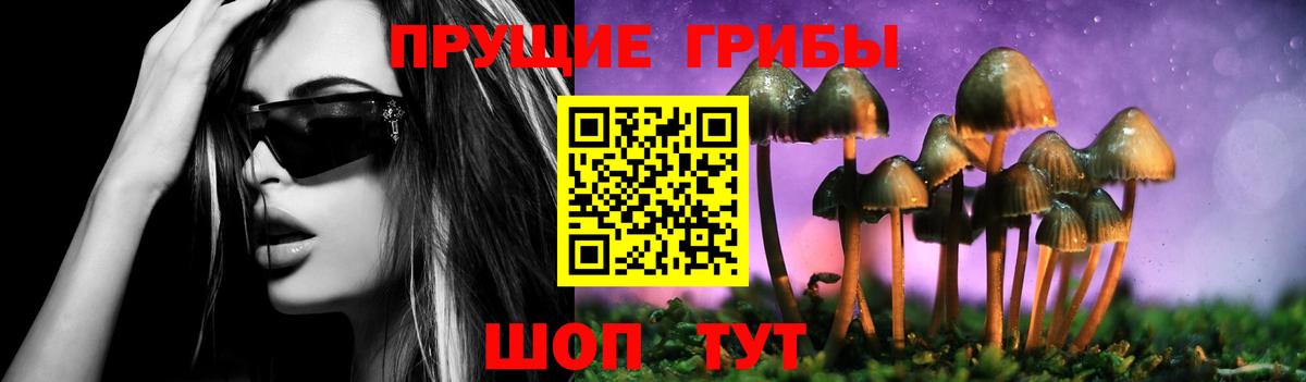 Галлюциногенные грибы Psilocybe Нижнекамск